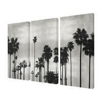 Kolekcija kućnog dekora _ crno-bijela fotografija silueta palme scena triptih rastegnuto platno zidni umjetnički