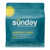 Kentucky je najbolja bluegrass - Nedjeljna mješavina sjemena