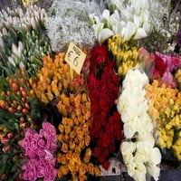 Italija, Venecija cvijeće na prodaju na tržištu od Vendi Caveni
