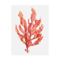 Zaštitni znak likovna umjetnost 'Coral Kelp I' Canvas Art by Jennifer Goldberger