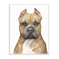 Stupell Industries pit bull pse kućni ljubimci akvarel akvarel akvarel zidna ploča umjetnost George Dyachenko
