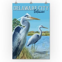 Delaware City, Delaware, plave čaplje