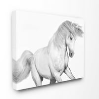 Kolekcija kućnog dekora, veličanstveni Crno-Bijeli konj koji udara na vjetru, slika na velikom ispruženom platnu,