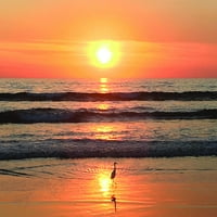 Korak prema zalasku sunca Alana Giane, umjetnička reprodukcija obale, Set za ispis plakata