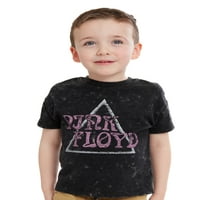 Pink Floyd Toddler Boy Band Graphic Tees, 2-Pack, veličine 2T-5T
